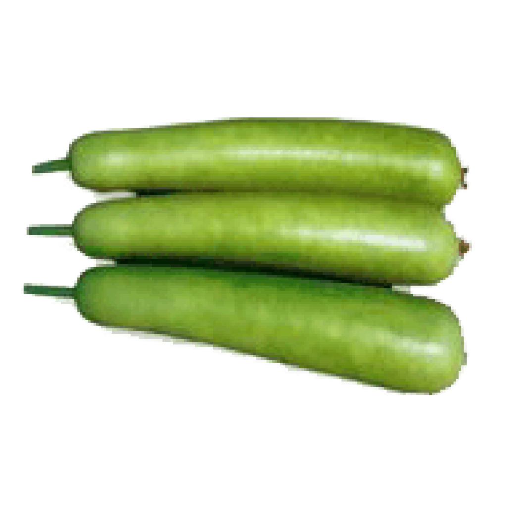 bottle-gourd-noida-greater-noida-ghaziabad-online-grocery